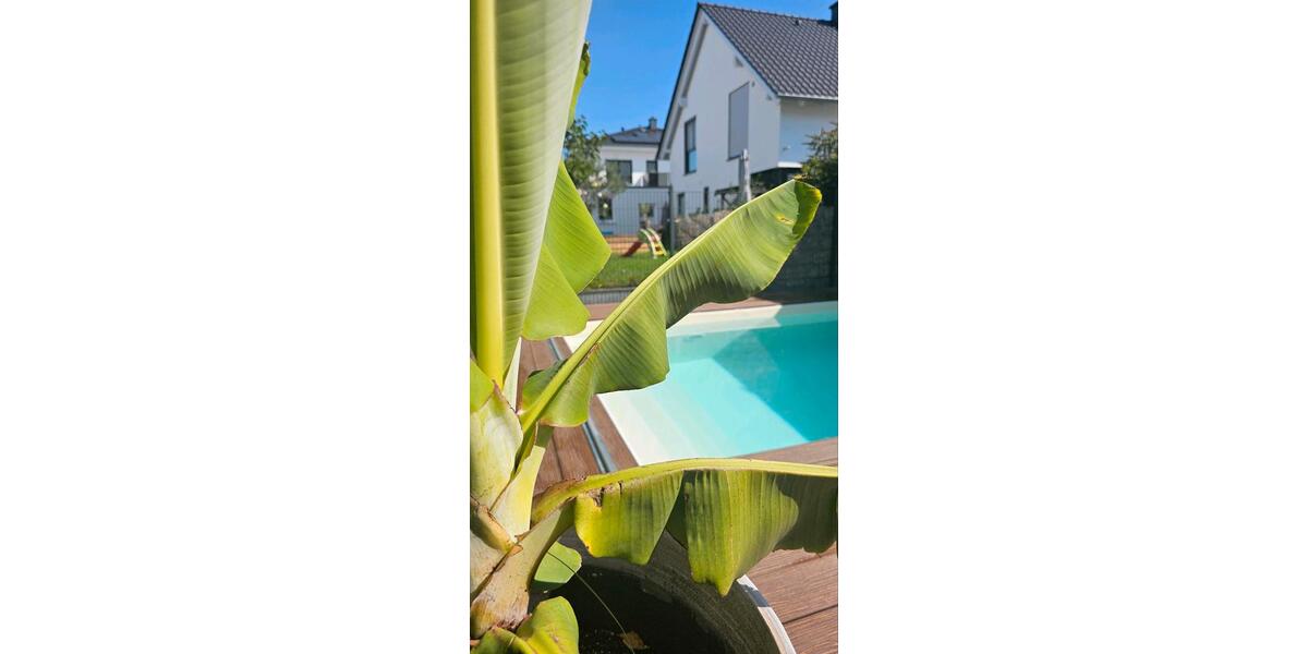 Stadtvilla in Erlensee 7 zimmer