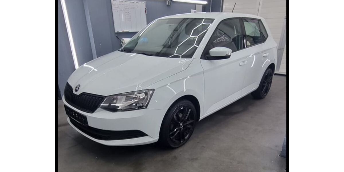 Skoda Fabia 196.500 km 6.300 € Rostock 18119