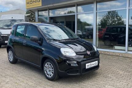 Fiat Panda 2.100 km 14.289 &euro; Anklam 17389
