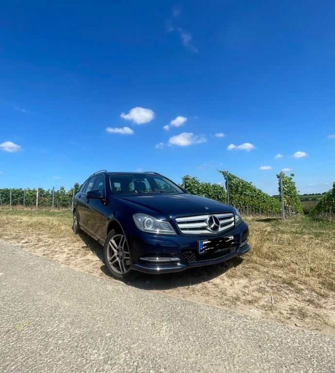 C 250