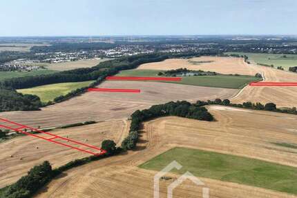Grundstück in Grevesmühlen 89.900 € 30519 m² zimmer
