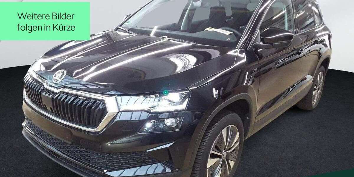 Skoda Karoq 27.300 km 32.449 &euro; Mühlheim a. Main 63165