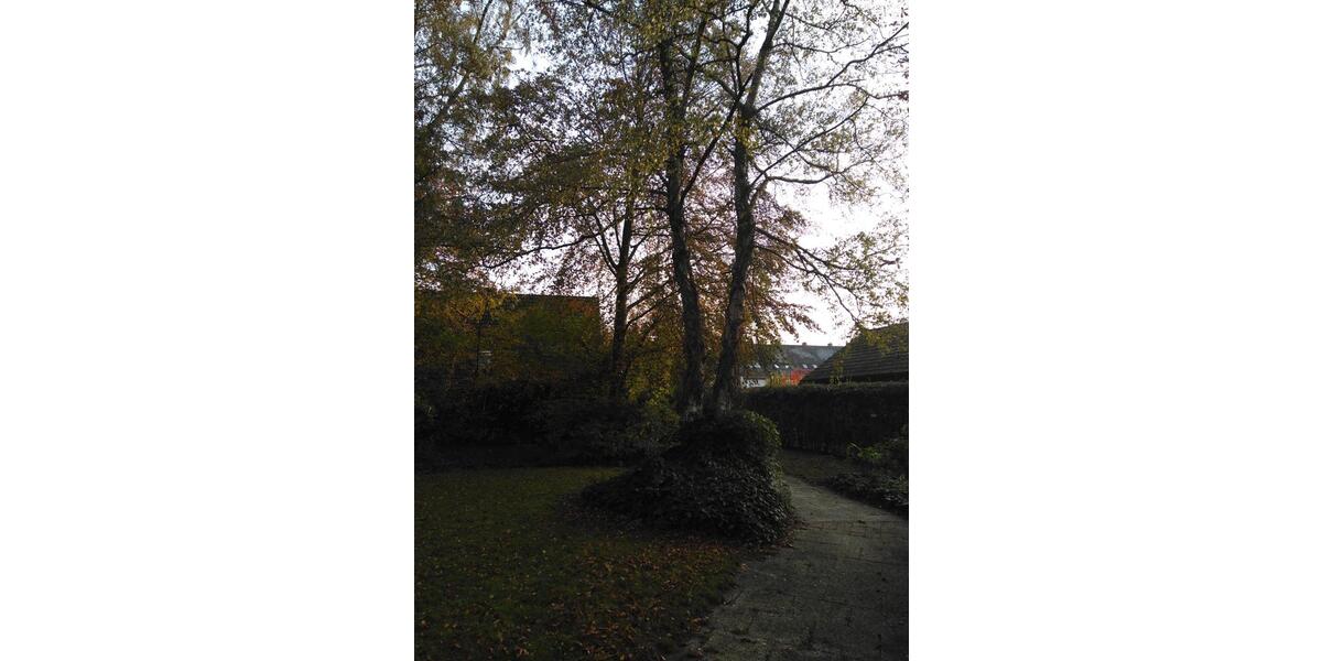 Einfamilienhaus Bremerhaven Wulsdorf - 7 Zimmer, 170 m&sup2;, 195.000&euro; | Angebot:27020846