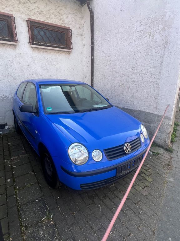 Polo