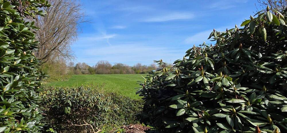 Mehrfamilienhaus, Wohnhaus Weener - 5 Zimmer, 133 m&sup2;, 195.000&euro; | Angebot:26118098