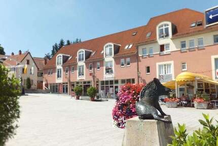 Gewerbeobjekt Kirchheimbolanden - 255.000&euro; | Angebot:26268159