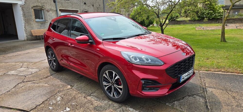 Kuga