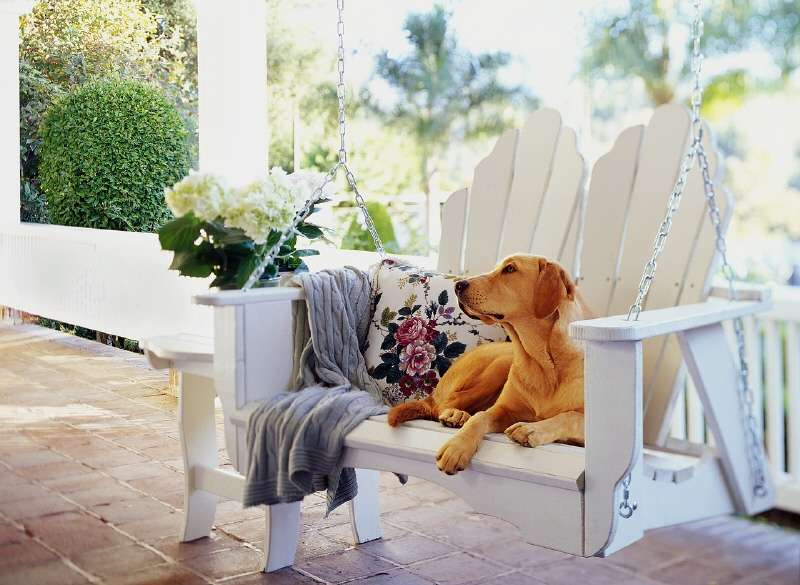 Grundstück Selters - 84.800&euro; | Angebot:20191060