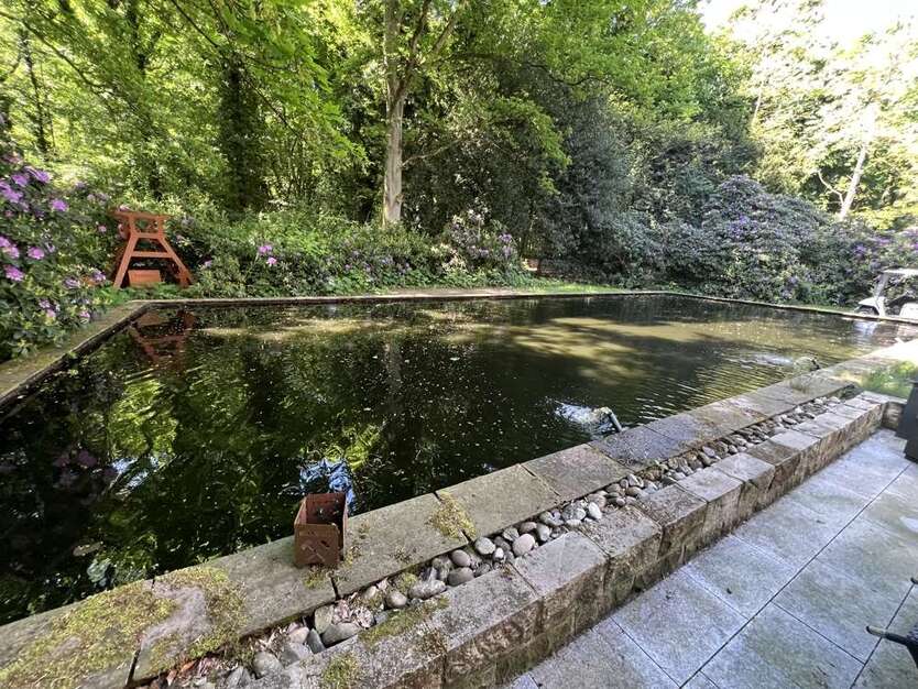 Wohnung zum Kaufen in Duisburg 495.000 € 150.87 m² 3 zimmer