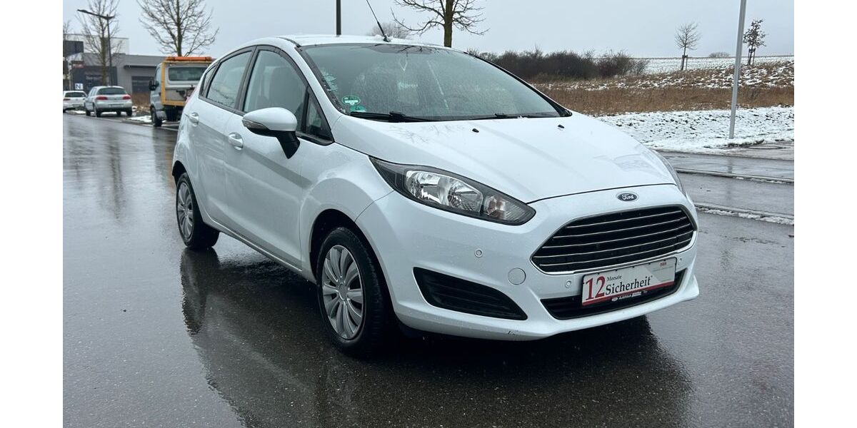 Ford Fiesta 104.000 km 7.999 &euro; Bad-Dürrheim 78073
