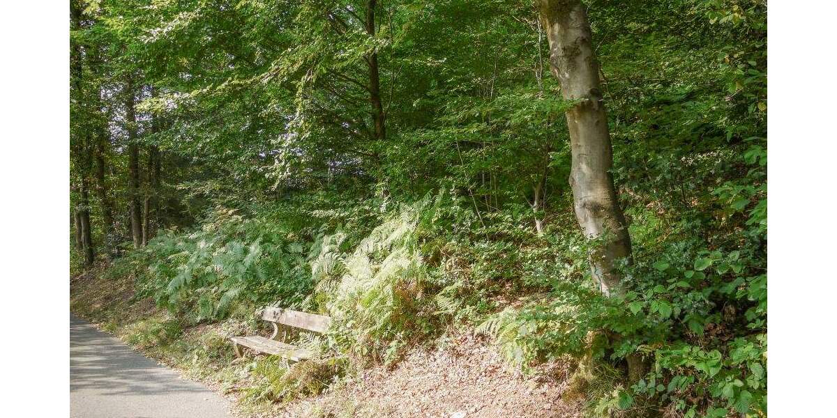 Grundstück Gummersbach - Wasserfuhr Wasserfuhr - 174.000&euro; | Angebot:25814026