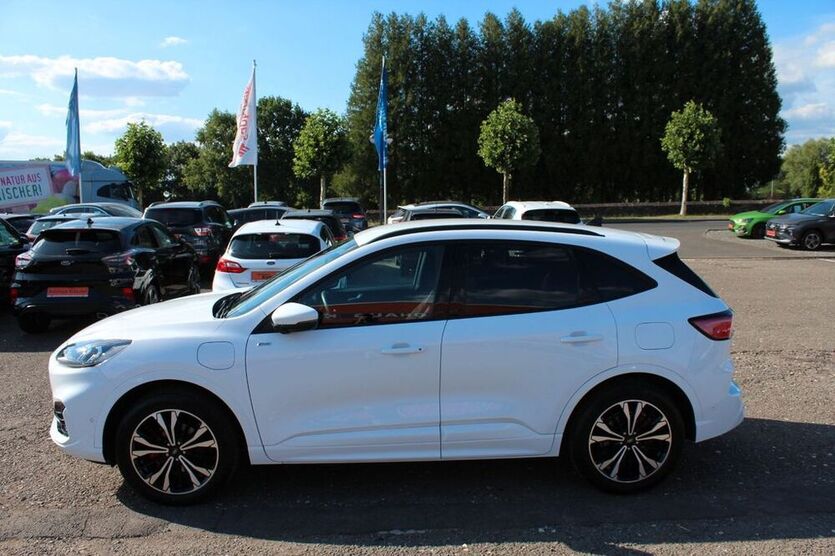 Kuga