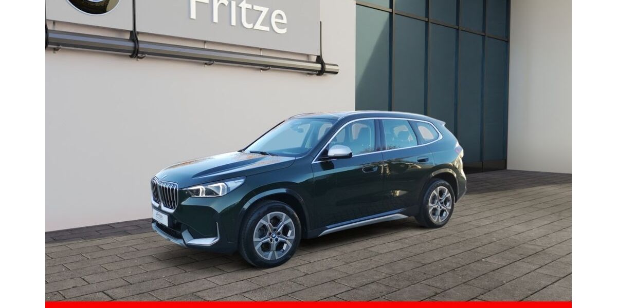 BMW X1 116.150 km 28.445 &euro; Sangerhausen 06526