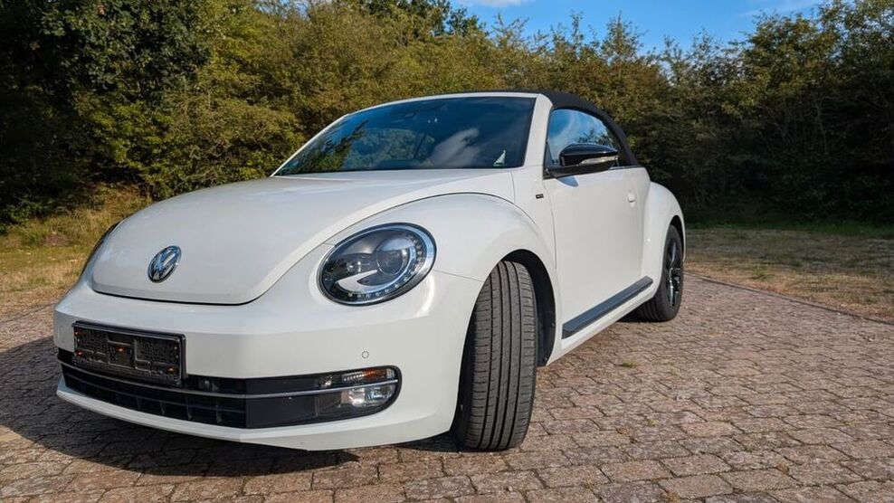 Beetle