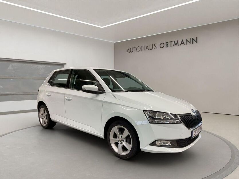 Skoda Fabia 98.933 km 9.490 € Wissen 57537