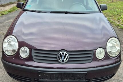 VW Polo 150.452 km 1.650 € Dietzenbach 63128