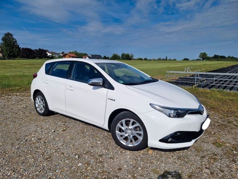 Auris