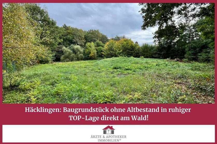 Grundstück zu verkaufen in Lüneburg Häcklingen 499.999 € 1248 m²