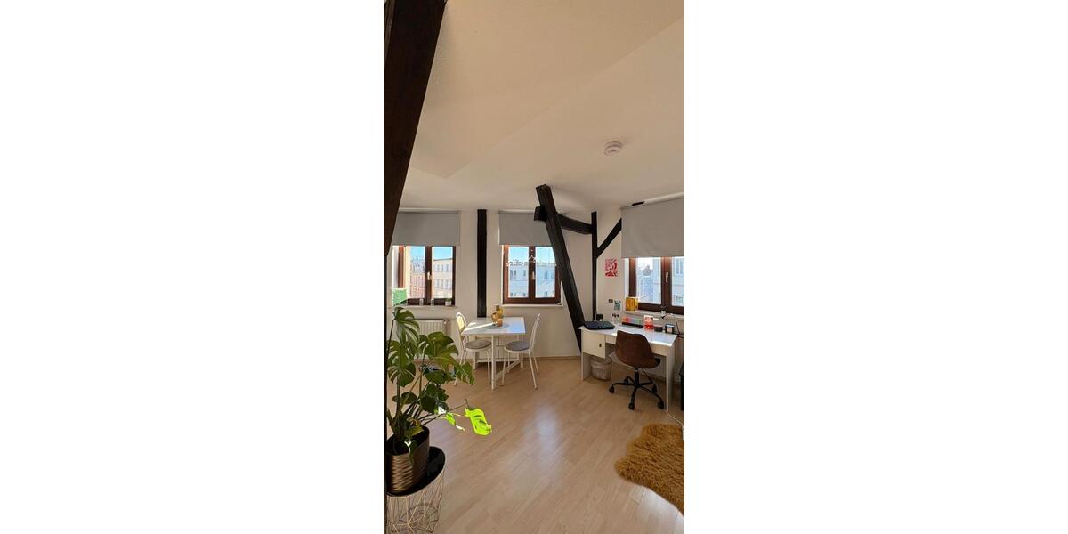 Dachgeschoßwohnung Halle (Saale) Damaschkestraße - 1 Zimmer, 35 m&sup2;, 335&euro; | Angebot:26693652
