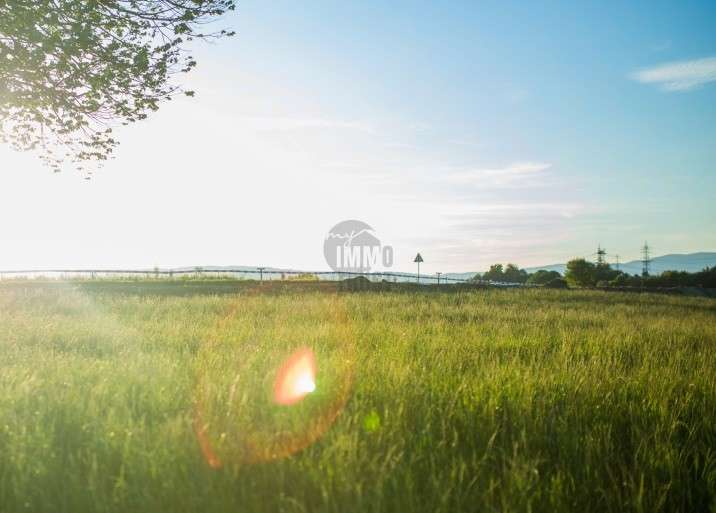 Grundstück zu verkaufen in Wertheim Sachsenhausen 111.000 € 187 m² zimmer