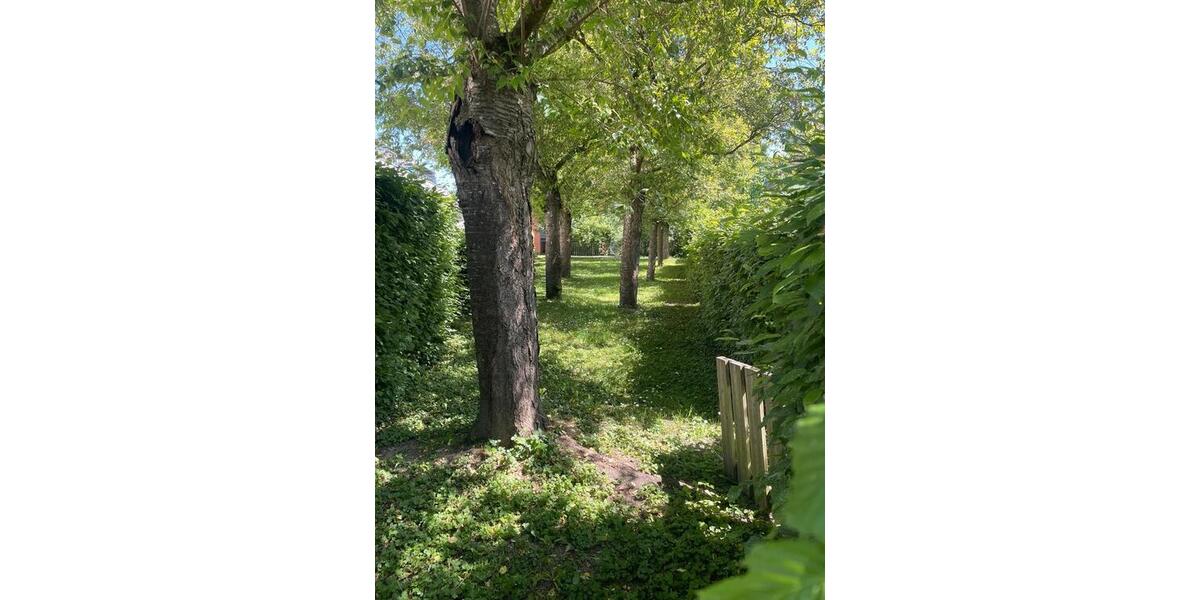 Reihenhaus Singen (Hohentwiel) - 4.5 Zimmer, 142 m&sup2;, 565.000&euro; | Angebot:26727347