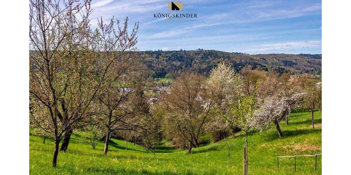 Mehrfamilienhaus, Wohnhaus Plüderhausen - 9 Zimmer, 242 m&sup2;, 638.000&euro; | Angebot:25680245