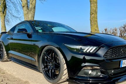 Ford Mustang 84.000 km 28.000 &euro; Nettetal 41334