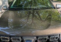 Gebrauchtwagen Dacia Duster