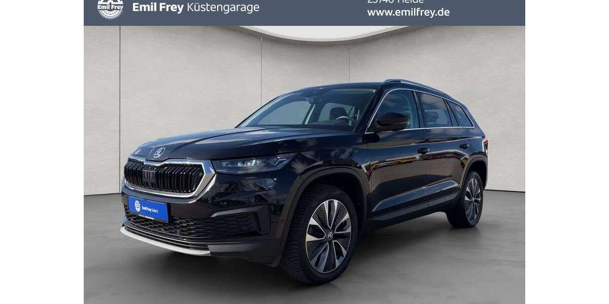 Skoda Kodiaq 86.273 km 31.490 &euro; Heide 25746