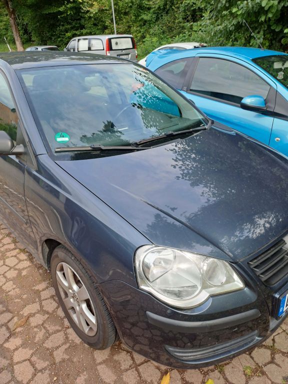 Polo