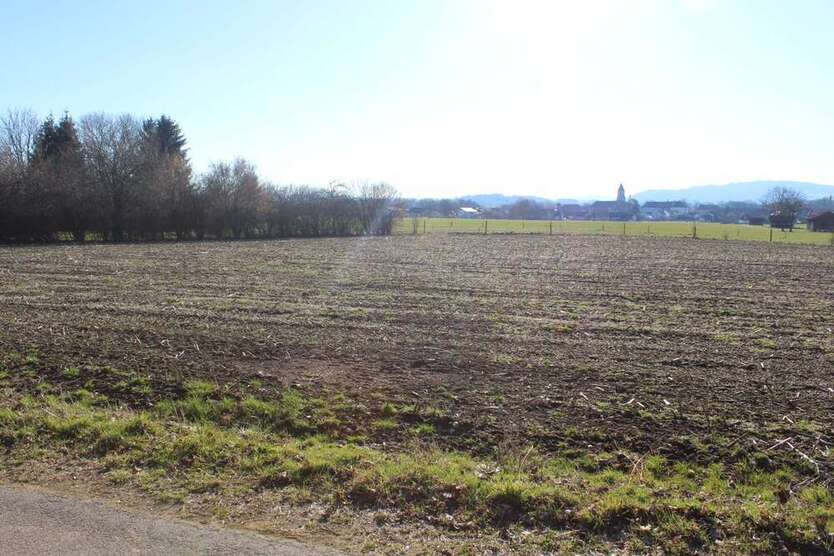 Grundstück in Polling 59.000 € 980 m²