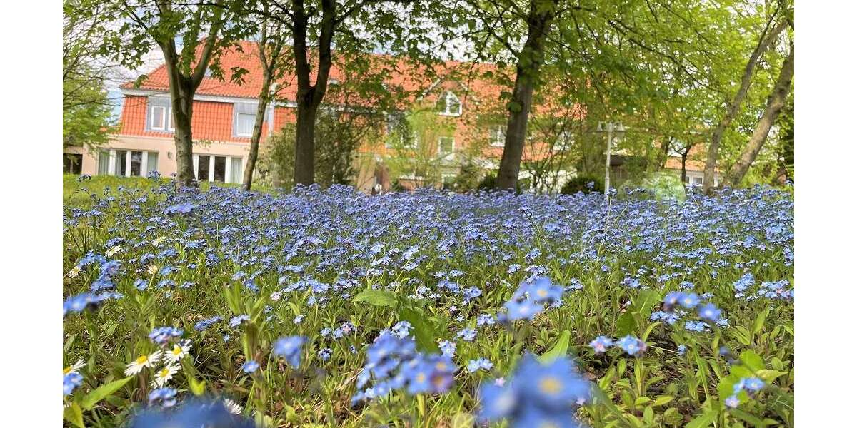 Gastronomie in Hanstedt II 598.000 € 650 m² zimmer