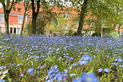 Gewerbeobjekt Hanstedt II - 598.000&euro; | Angebot:20037559