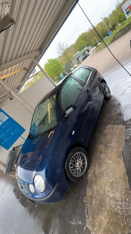 Polo