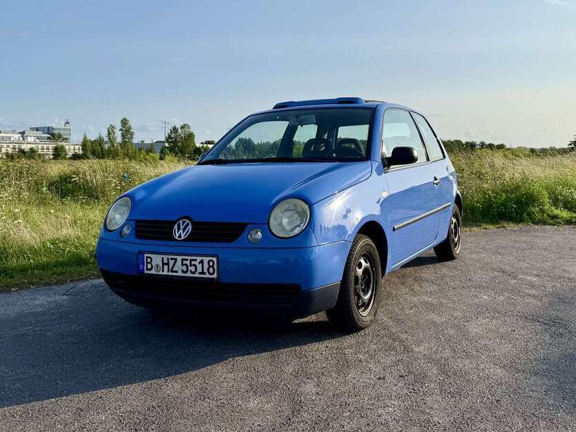 Lupo
