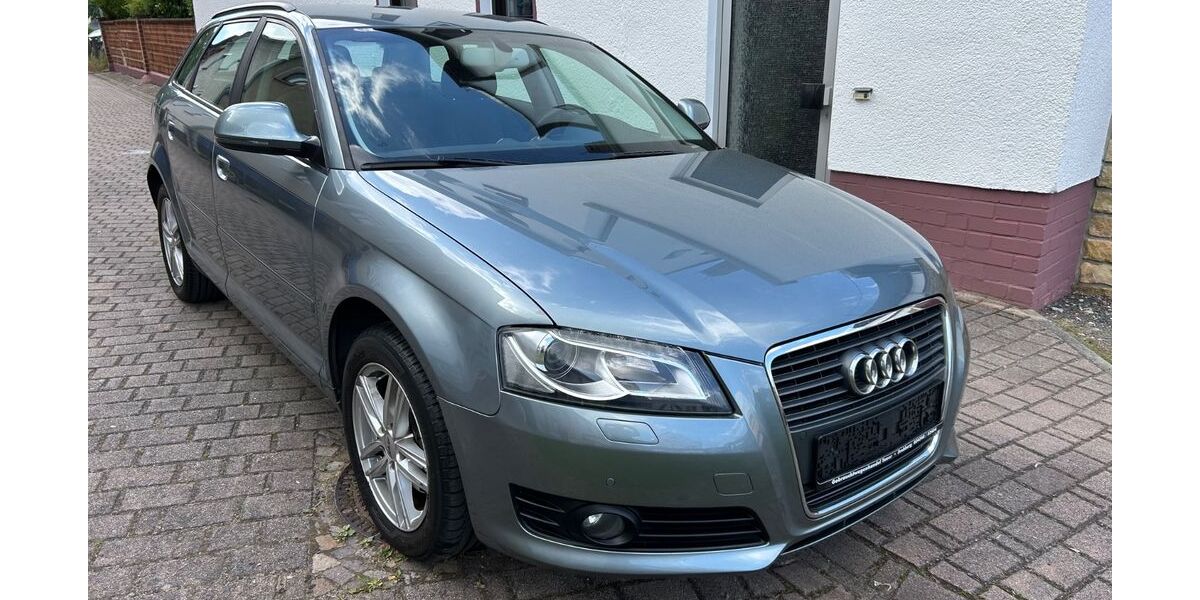 Audi A3 126.890 km 8.990 &euro; Frohburg 04654