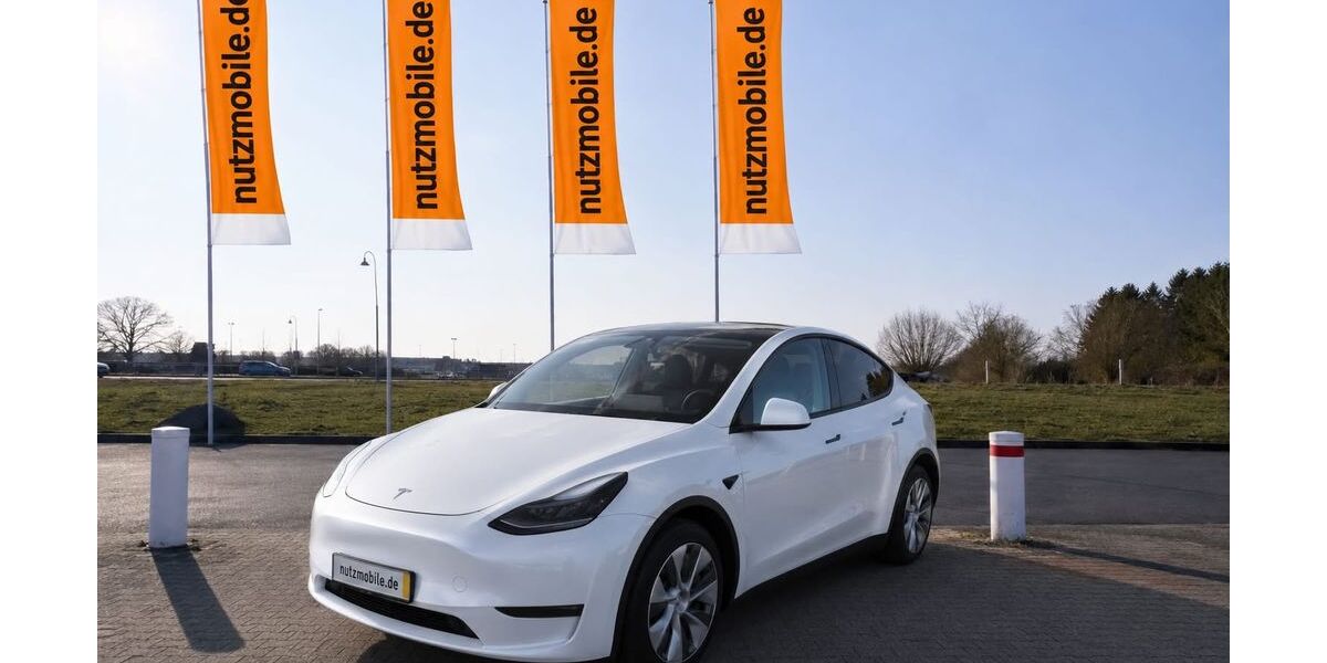 Tesla Model Y 40.000 km 39.999 &euro; Erlensee 63526