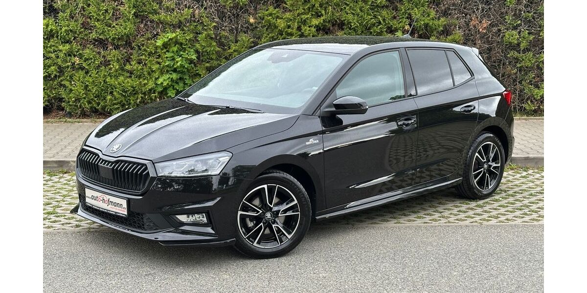 Skoda Fabia 16.958 km 21.290 &euro; Wallenfels 96346