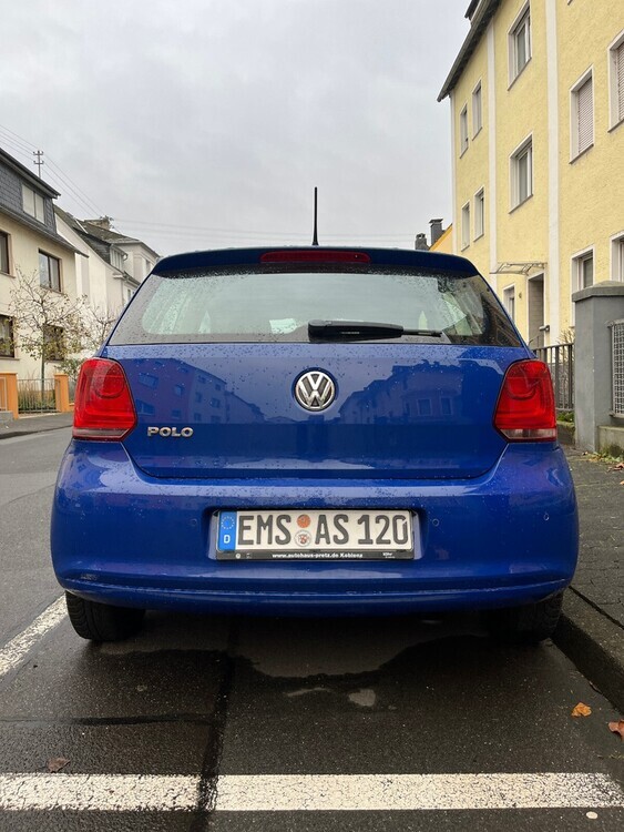 Polo
