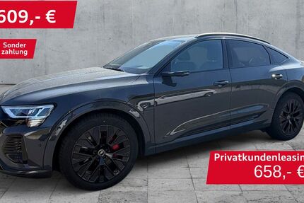 Audi Q8 e-tron 37.668 km 53.330 &euro; Hof 95030