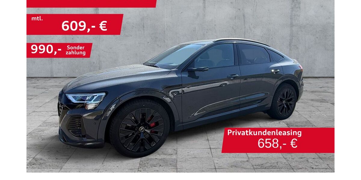 Audi Q8 e-tron 37.668 km 53.330 &euro; Hof 95030