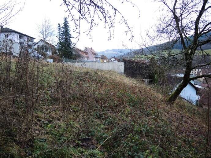 Grundstück Bad Brückenau Römershag - 29.000&euro; | Angebot:25696669