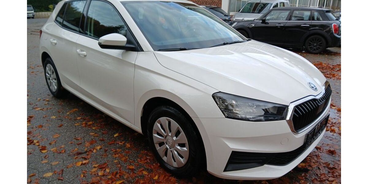 Skoda Fabia 245.000 km 6.950 &euro; Ratingen 40882