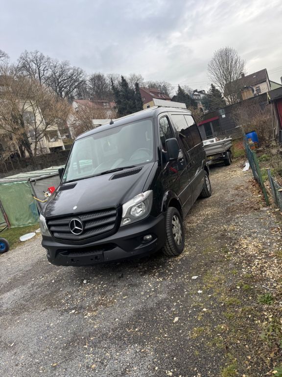 Sprinter