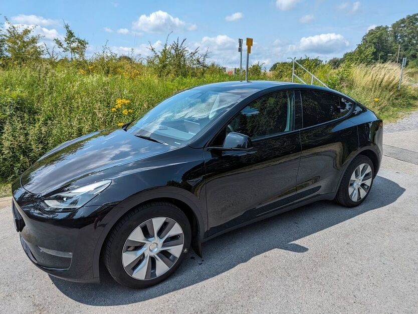 Model Y