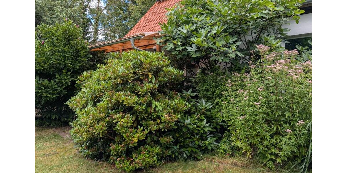 Einfamilienhaus Nienburg (Weser) - 9 Zimmer, 200 m&sup2;, 620.000&euro; | Angebot:27093231