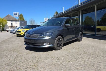 Skoda Fabia 113.864 km 11.000 &euro; Lippetal 59510