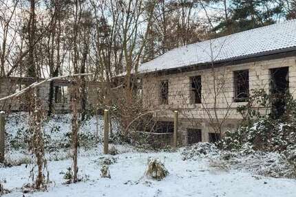 Grundstück Wolsier - 60.536&euro; | Angebot:16998743