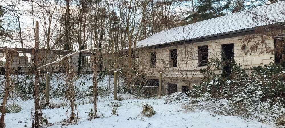 Grundstück Wolsier - 60.536&euro; | Angebot:16998743