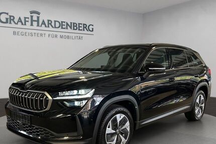 Skoda Kodiaq 20.000 km 46.790 € Karlsruhe 76131